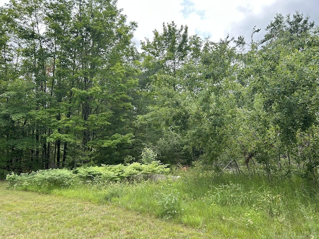 7729 Airport Rd, Vanderbilt, MI 49795 - photo 20