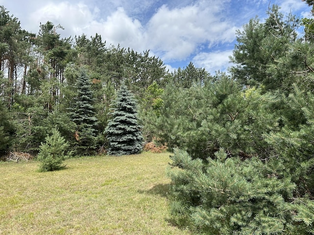 7729 Airport Rd, Vanderbilt, MI 49795 - photo 11