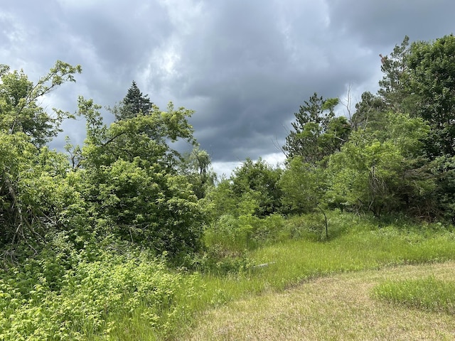 7729 Airport Rd, Vanderbilt, MI 49795 - photo 14