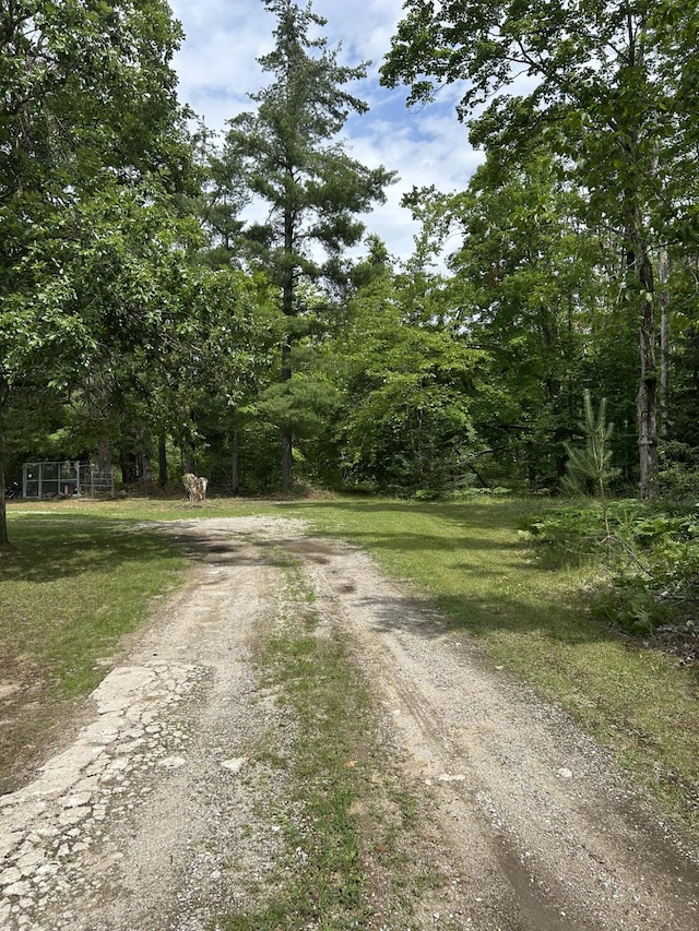 7729 Airport Rd, Vanderbilt, MI 49795 - photo 37