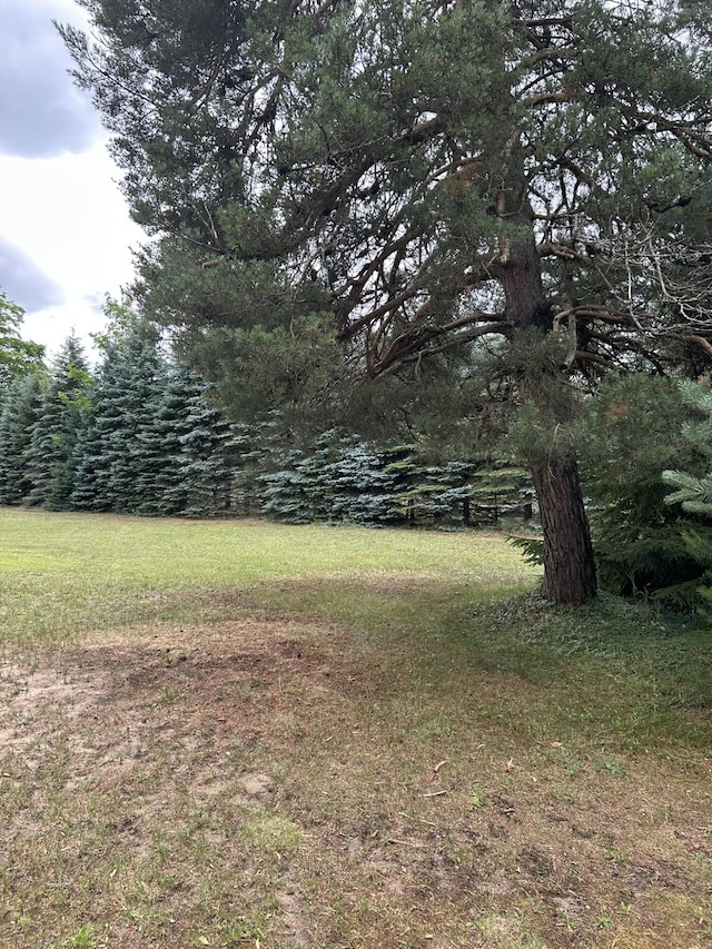 7729 Airport Rd, Vanderbilt, MI 49795 - photo 15