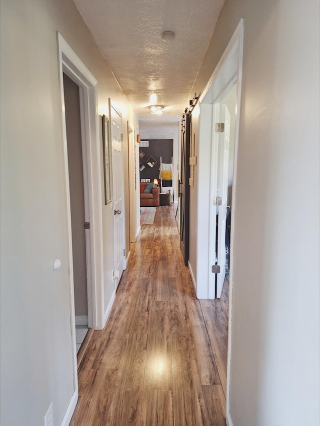 13631 Tolan Rd, Ossineke, MI 49766 - corridor featuring wood finished floors and a textured ceiling