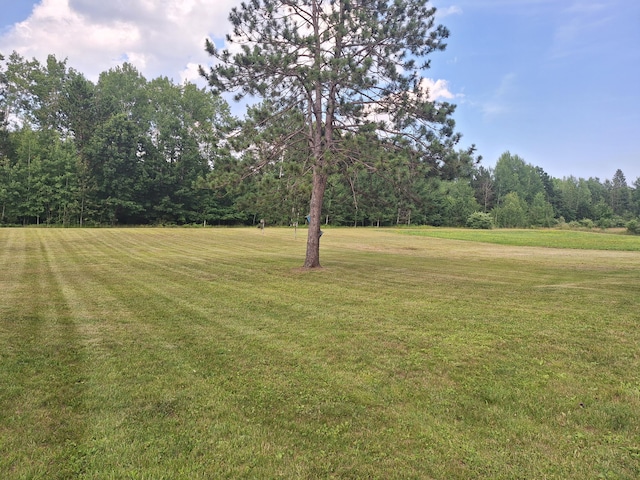 13631 Tolan Rd, Ossineke, MI 49766 - view of green lawn with a wooded view