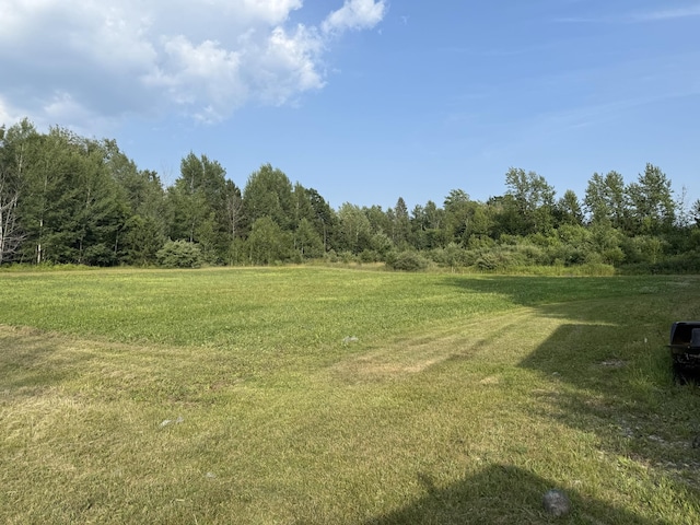 13631 Tolan Rd, Ossineke, MI 49766 - view of grassy yard with a forest view