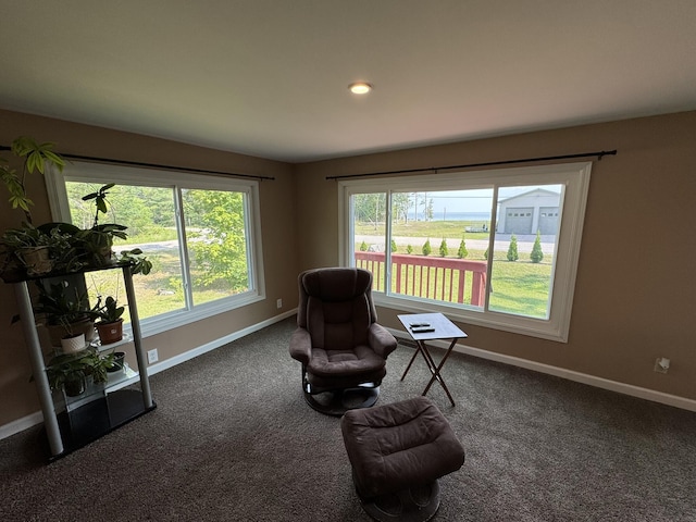 14168 Helmond Rd, Cheboygan, MI 49721 - photo 20