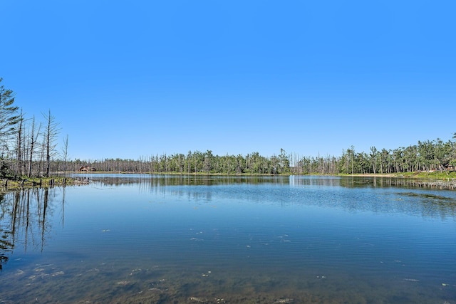 1935 Five Lakes Rd, Gaylord, MI 49735 - photo 3