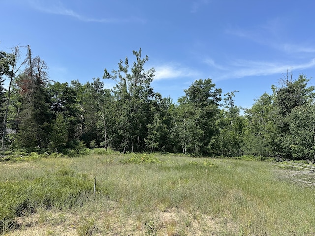 9340 Ryan Rd, Atlanta, MI 49709 - photo 3