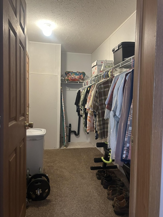 21901 Florence Ave, Hillman, MI 49746 - photo 22