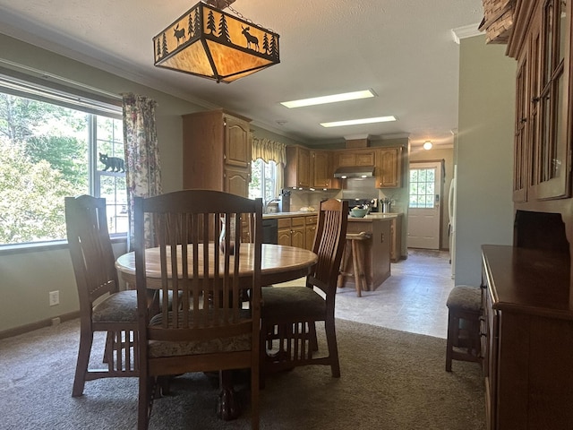 21901 Florence Ave, Hillman, MI 49746 - photo 7