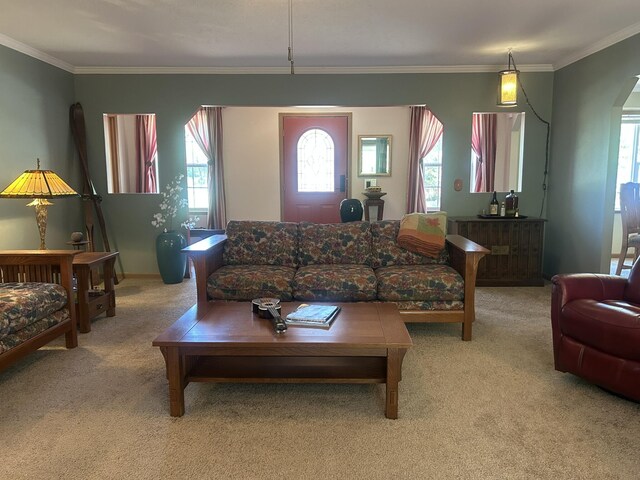 21901 Florence Ave, Hillman, MI 49746 - photo 16