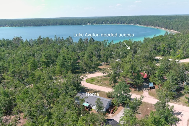 21901 Florence Ave, Hillman, MI 49746 - photo 2