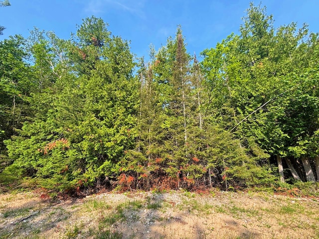 395 Balsam Dr, Presque Isle, MI 49777 - photo 1