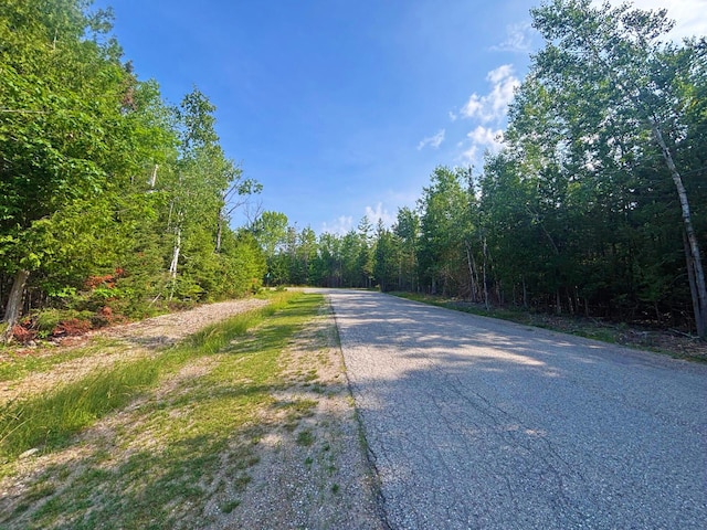 395 Balsam Dr, Presque Isle, MI 49777 - photo 2