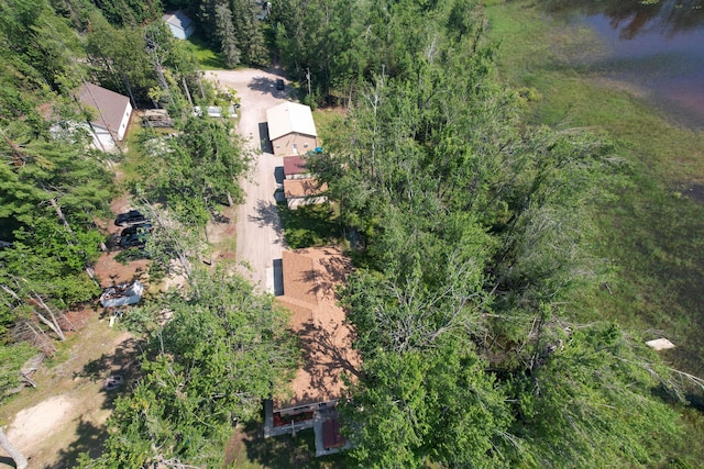 13199 N Shore Dr, Millersburg, MI 49759 - photo 7