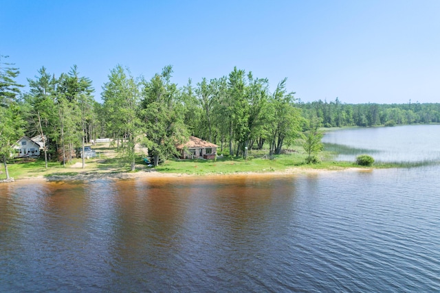 13199 N Shore Dr, Millersburg, MI 49759 - photo 6