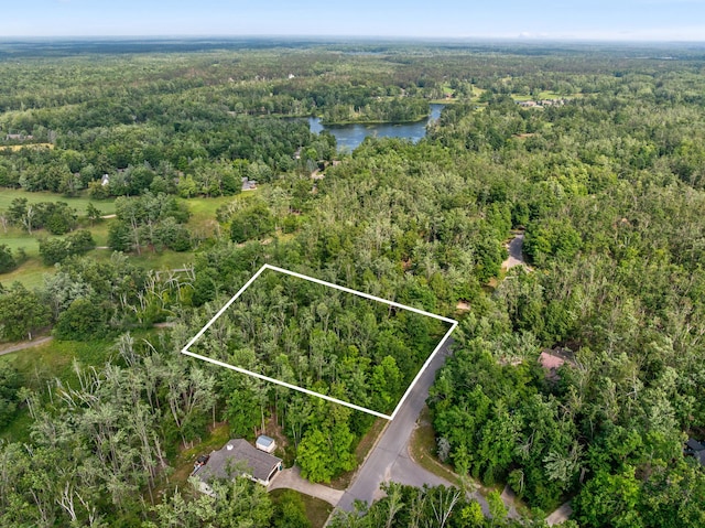 LOT48 Foothills Trl, Gaylord, MI 49735 - photo 5