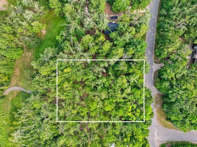 LOT48 Foothills Trl, Gaylord, MI 49735 - photo 6