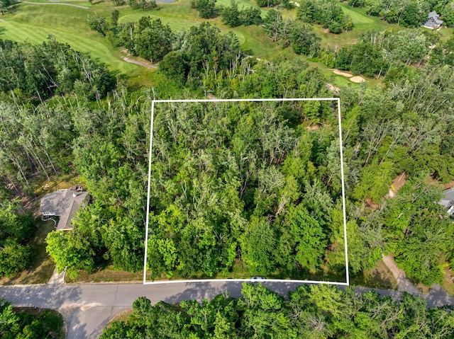LOT48 Foothills Trl, Gaylord, MI 49735 - photo 3