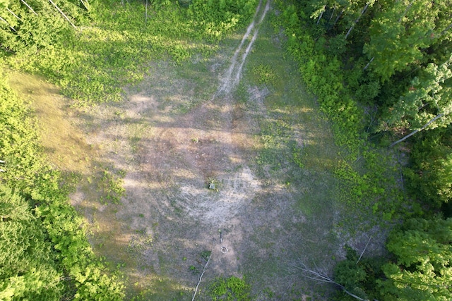 1308 S Magee Rd, Vanderbilt, MI 49795 - photo 5