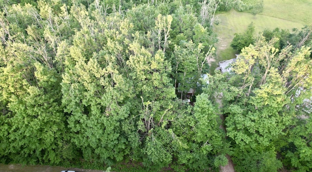 LOTS46 Dunson Ln, Elmira, MI 49730 - photo 5