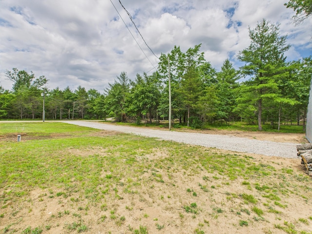 1172 Trails End, Grayling, MI 49738 - photo 21