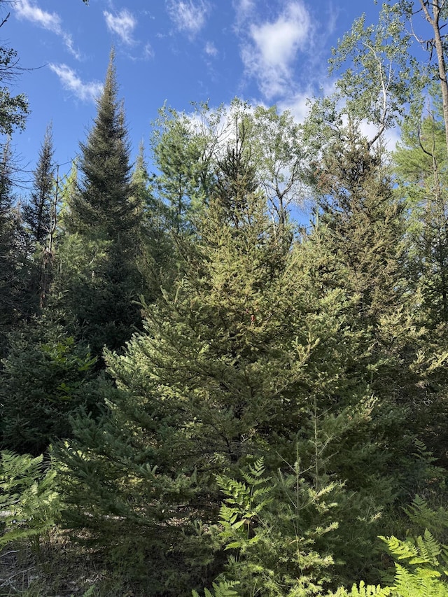 50ACRES Herron Rd, Alpena, MI 49707 - photo 6