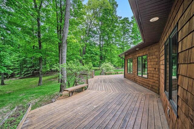 3007 Akins Ln, Bellaire, MI 49615 - photo 40