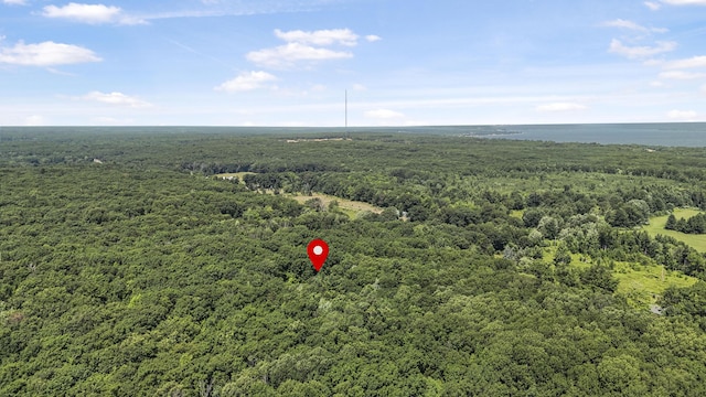5139 W Emery Rd, Prudenville, MI 48651 - photo 53