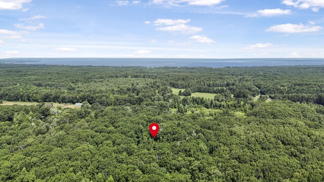 5139 W Emery Rd, Prudenville, MI 48651 - photo 45