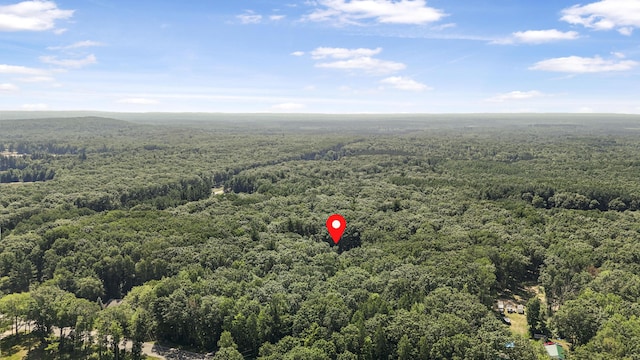 5139 W Emery Rd, Prudenville, MI 48651 - photo 49