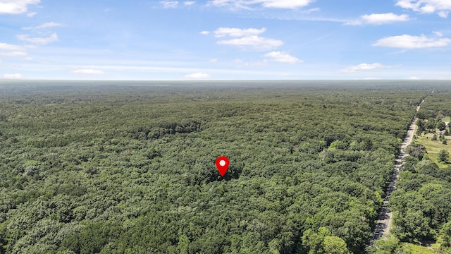 5139 W Emery Rd, Prudenville, MI 48651 - photo 51