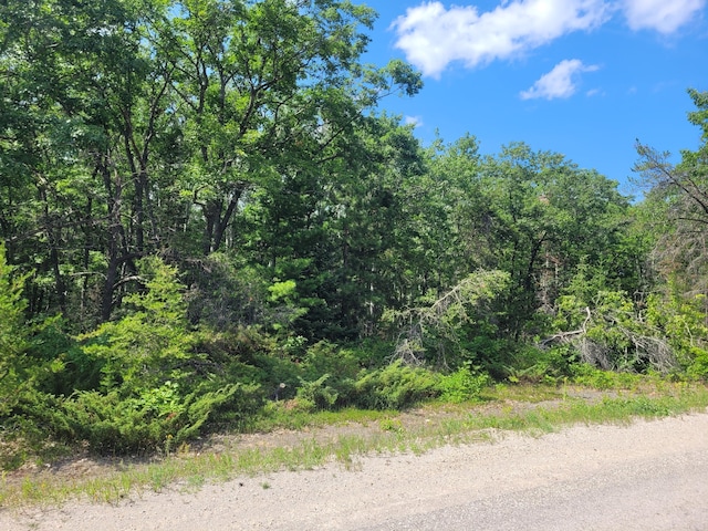 LOT01 N Ocqueoc Rd, Millersburg, MI 49759 - photo 5