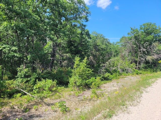 LOT01 N Ocqueoc Rd, Millersburg, MI 49759 - photo 6
