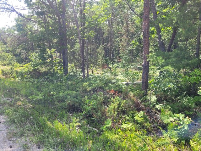 LOT01 N Ocqueoc Rd, Millersburg, MI 49759 - photo 7