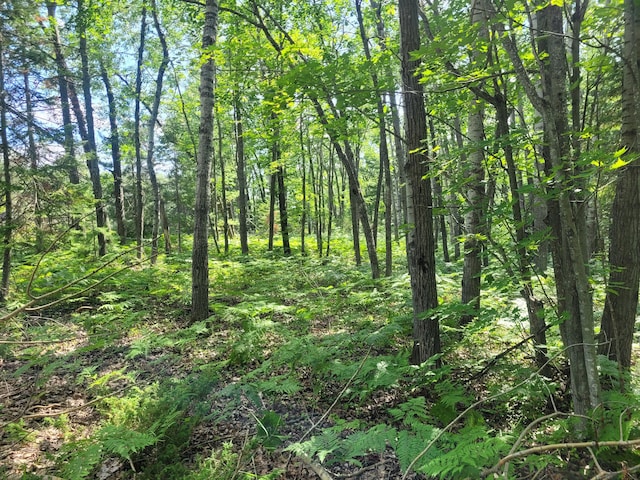 LOT01 N Ocqueoc Rd, Millersburg, MI 49759 - photo 8