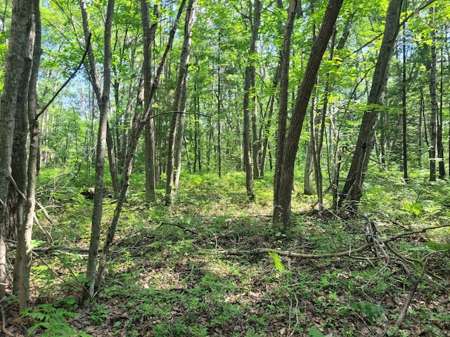 LOT01 N Ocqueoc Rd, Millersburg, MI 49759 - photo 9