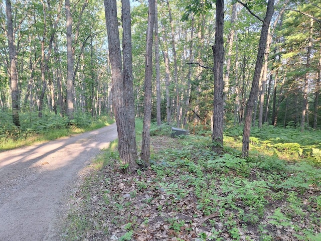 LOT01 N Ocqueoc Rd, Millersburg, MI 49759 - photo 11