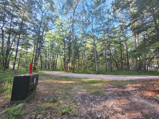 LOT01 N Ocqueoc Rd, Millersburg, MI 49759 - photo 12