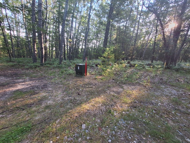 LOT01 N Ocqueoc Rd, Millersburg, MI 49759 - photo 13