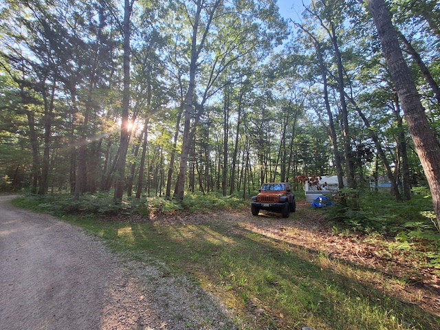 LOT01 N Ocqueoc Rd, Millersburg, MI 49759 - photo 14