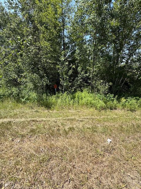 3218 S Harrison Rd, Houghton Lake, MI 48629 - photo 8