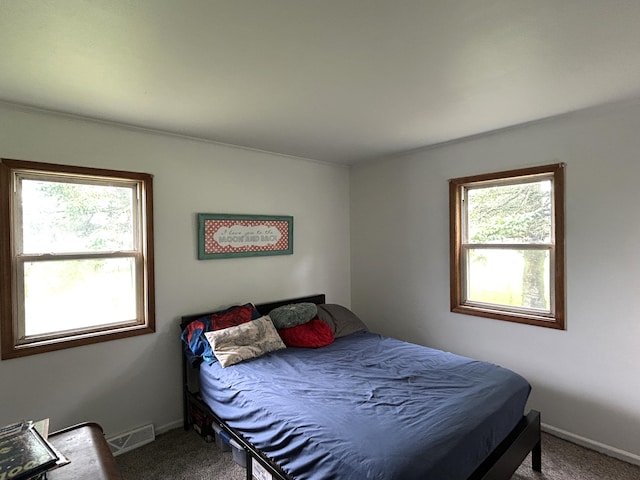 13567 Greenwood Rd, Posen, MI 49776 - photo 28