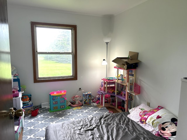 13567 Greenwood Rd, Posen, MI 49776 - photo 33