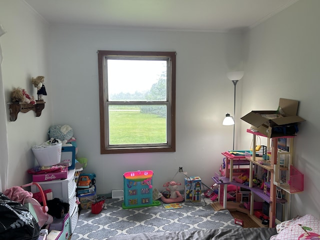 13567 Greenwood Rd, Posen, MI 49776 - photo 34