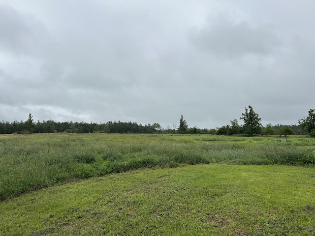 13567 Greenwood Rd, Posen, MI 49776 - photo 3