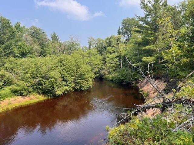V/L N Wines Rd, Paradise, MI 49768 - photo 1