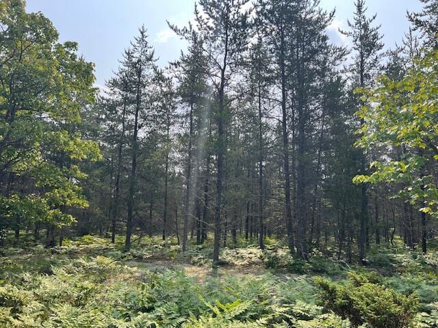 V/L N Wines Rd, Paradise, MI 49768 - photo 7