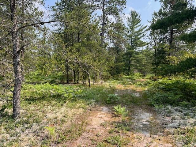V/L N Wines Rd, Paradise, MI 49768 - photo 8