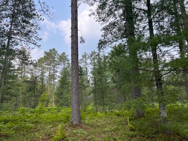 V/L N Wines Rd, Paradise, MI 49768 - photo 13