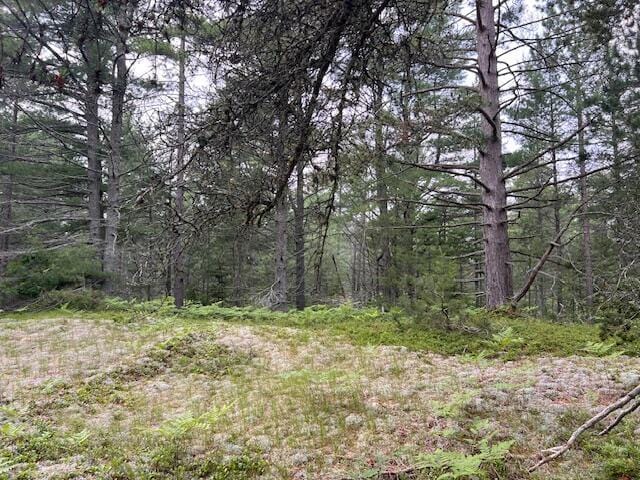 V/L N Wines Rd, Paradise, MI 49768 - photo 15
